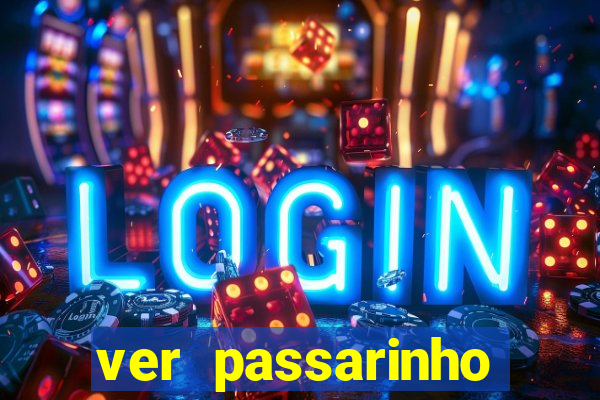 ver passarinho morto significado